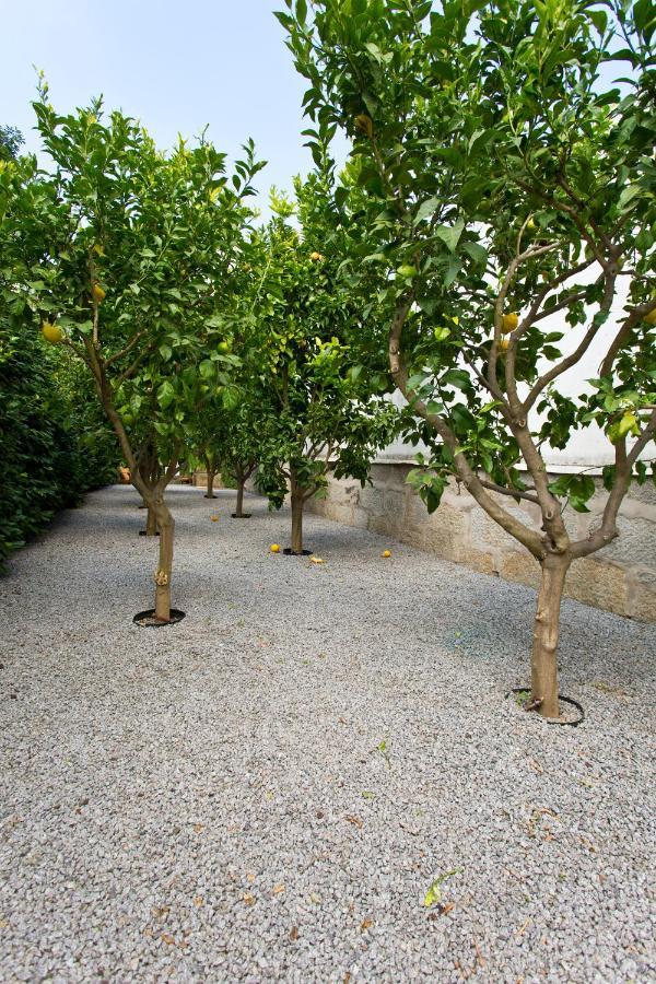Boutique Rentals- Hidden Garden Porto'S Downtown Εξωτερικό φωτογραφία
